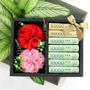 카네이션 미니 용돈박스 어버이날 부모님선물 효도선물 돈다발 케이크 비누꽃... 실사용 후기 | 효과 있을까? - 상품 이미지 1