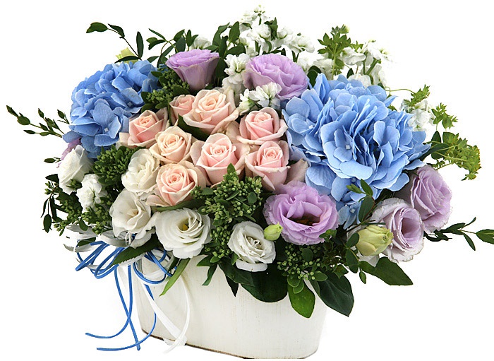 [당일수령]수국 장미 바구니 A1661 꽃배달 생일 결혼기념일 꽃바구니 생화꽃