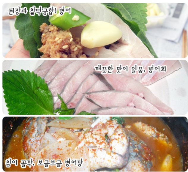 생물병어(중) 1마리 병어회 새꼬시 병어찜 - 상세 이미지 4