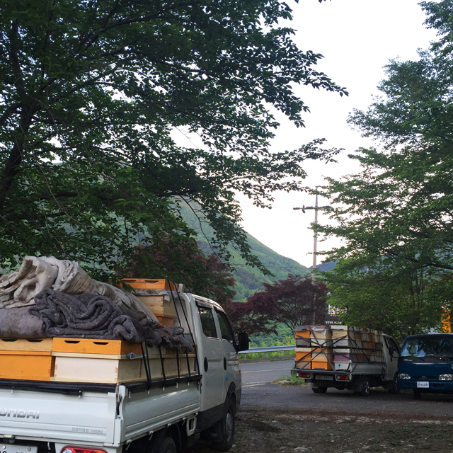 지리산모향골 자연 벌꿀 아카시아꿀 1.2kg