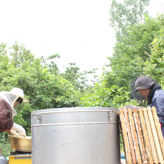 지리산모향골 자연 벌꿀 아카시아꿀 1.2kg