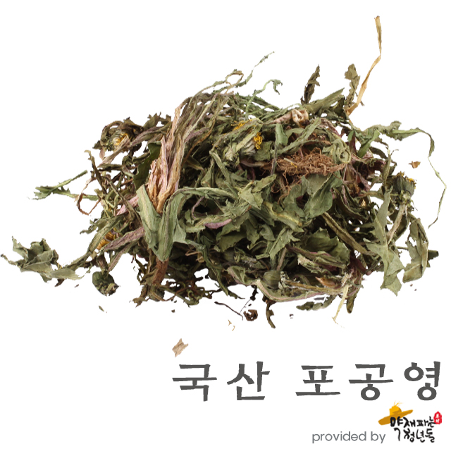 국산 민들레 600g - 상품 이미지