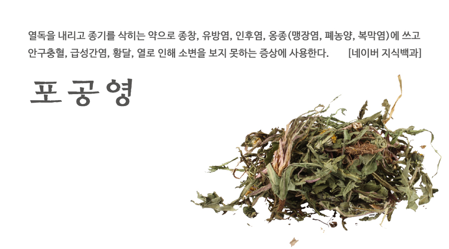 국산 민들레 600g - 상세 이미지 2