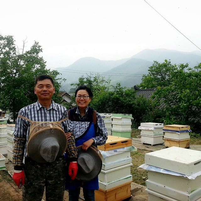 국산 벌화분 비폴렌 꿀벌화분 생화분 꽃가루화분 600g - 상세 이미지 2