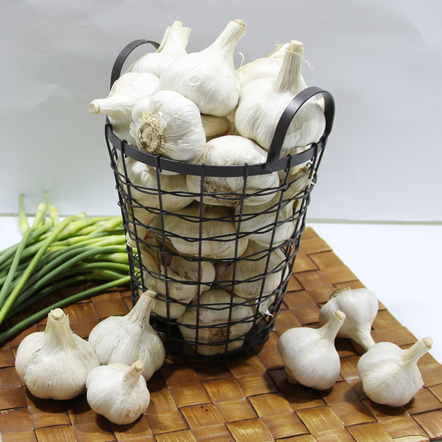 남해농협 통마늘 3kg 5kg 햇마늘 이미지 2