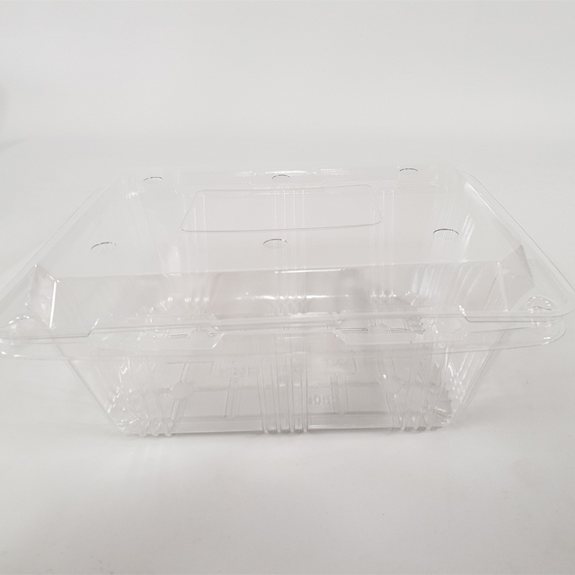 블루베리 500g,1kg 포장용기 400ea 1BOX - 상품 이미지