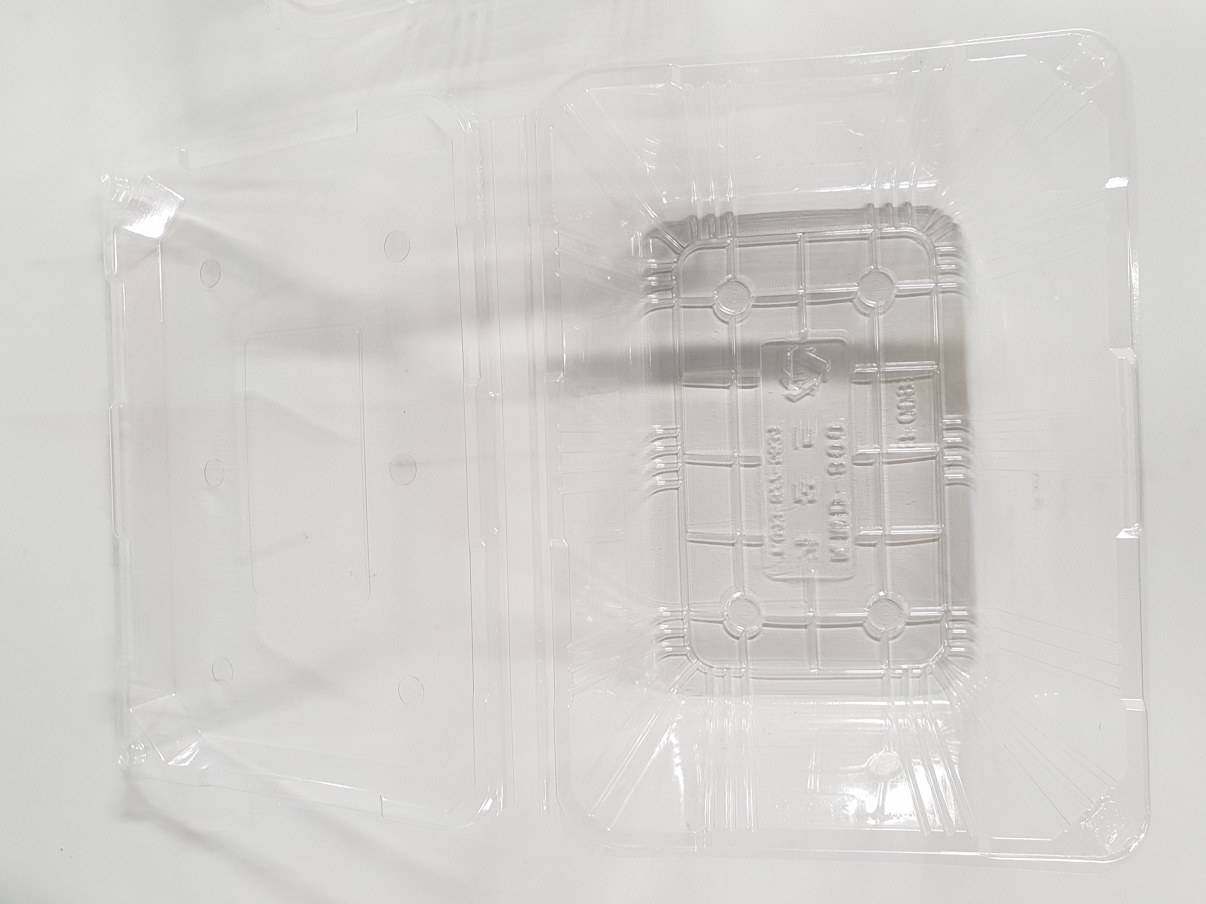 아로니아 1kg 포장전용 용기 1박스 200ea 이미지 8