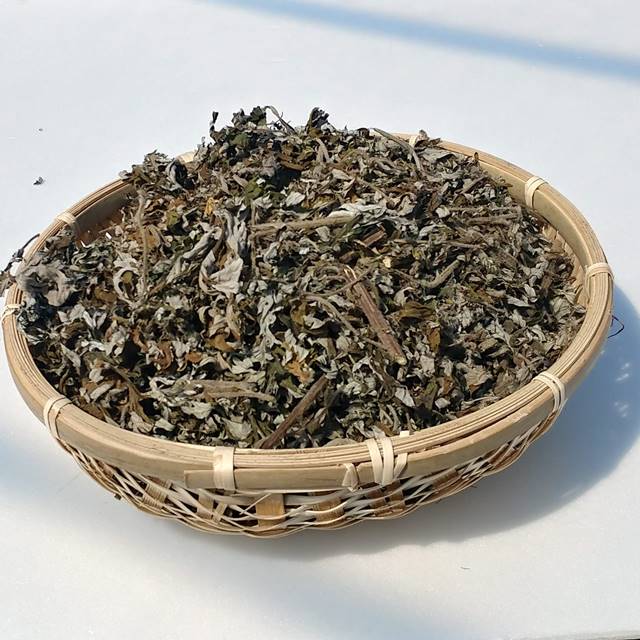 친환경 삶은쑥 1kg 종류다양 봄나물 - 상세 이미지 4