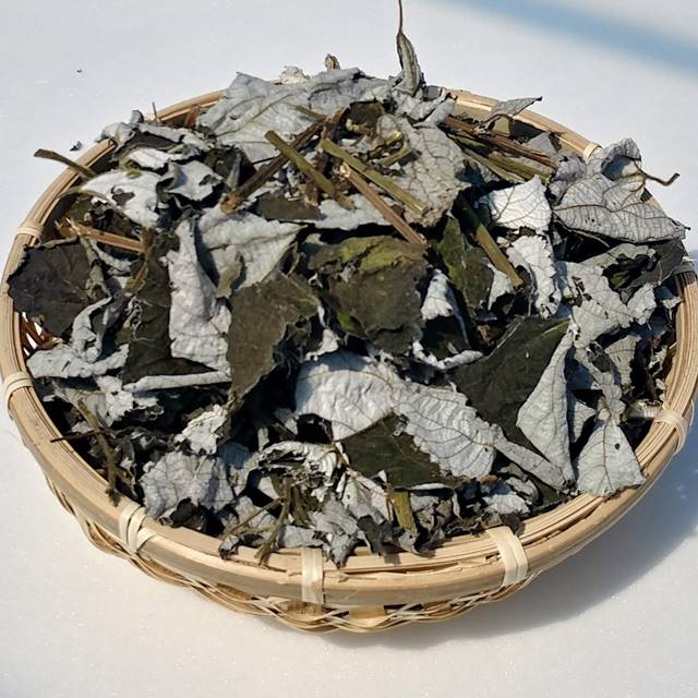 친환경 모싯대잎차 200g 모시잎 - 상품 이미지