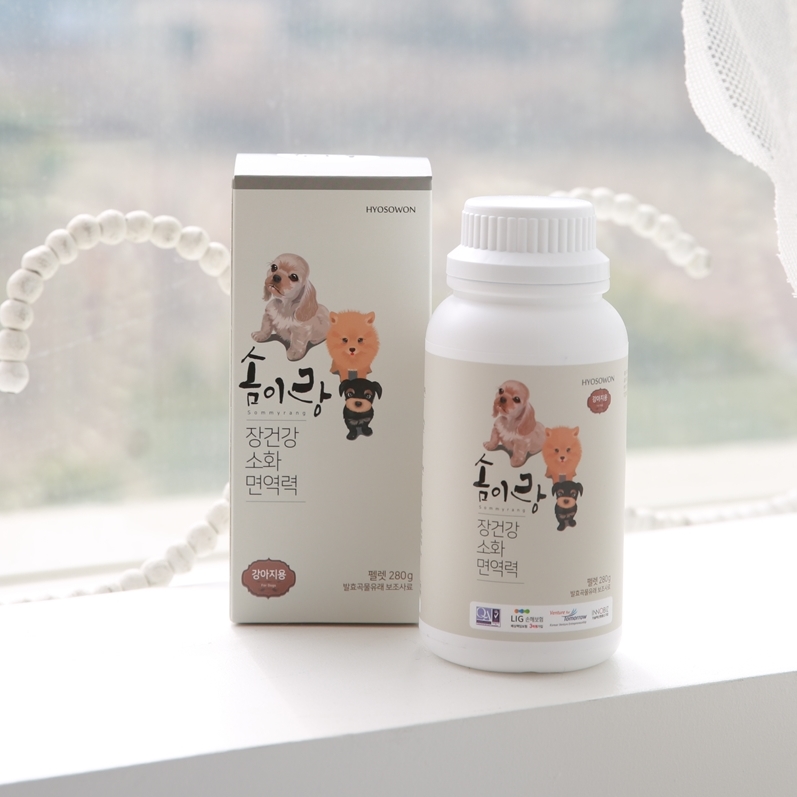 솜이랑 강아지 고양이 소화 효소 장건강 설사 구토 영양제 소화제 효소제 합제 - 상세 이미지 3