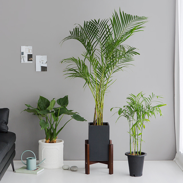 FLOWERPOT 화분받침 D40 - 상세 이미지 5