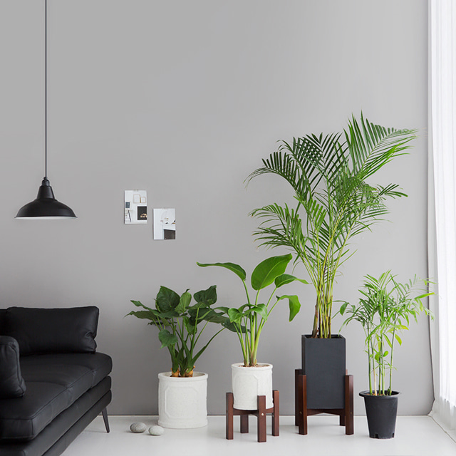 FLOWERPOT 화분받침 D40 이미지 7