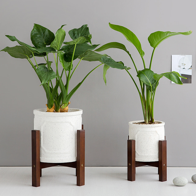 FLOWERPOT 화분받침 D40 이미지 6