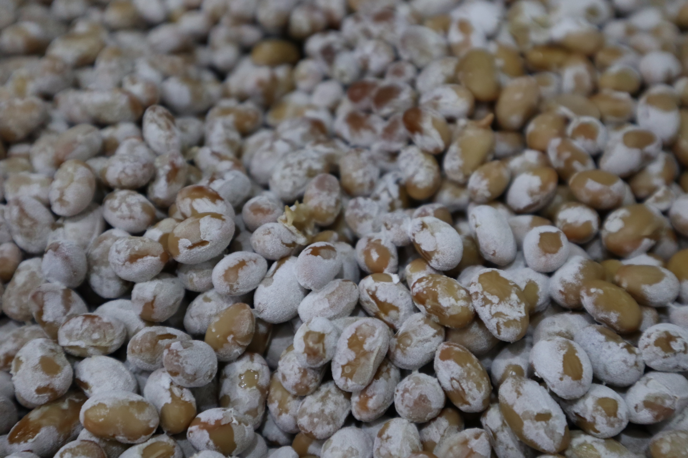 착한 청국장 냄새안나는 찌개 밀키트 ( 국산 쌀밥에 청국장 5팩+육수 5개)