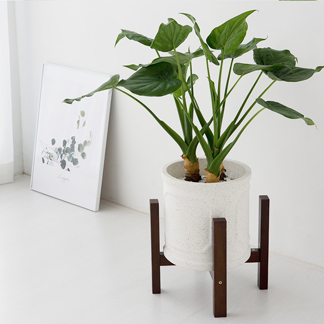 FLOWERPOT 화분받침 D40 - 상세 이미지 2