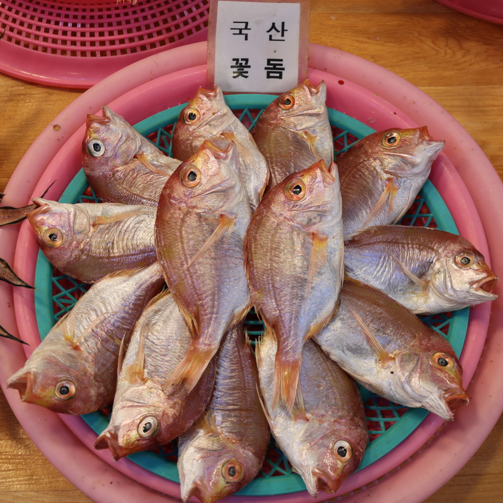 삼천포 용궁수산시장 반건조 국내산 꽃돔 - 상세 이미지 2