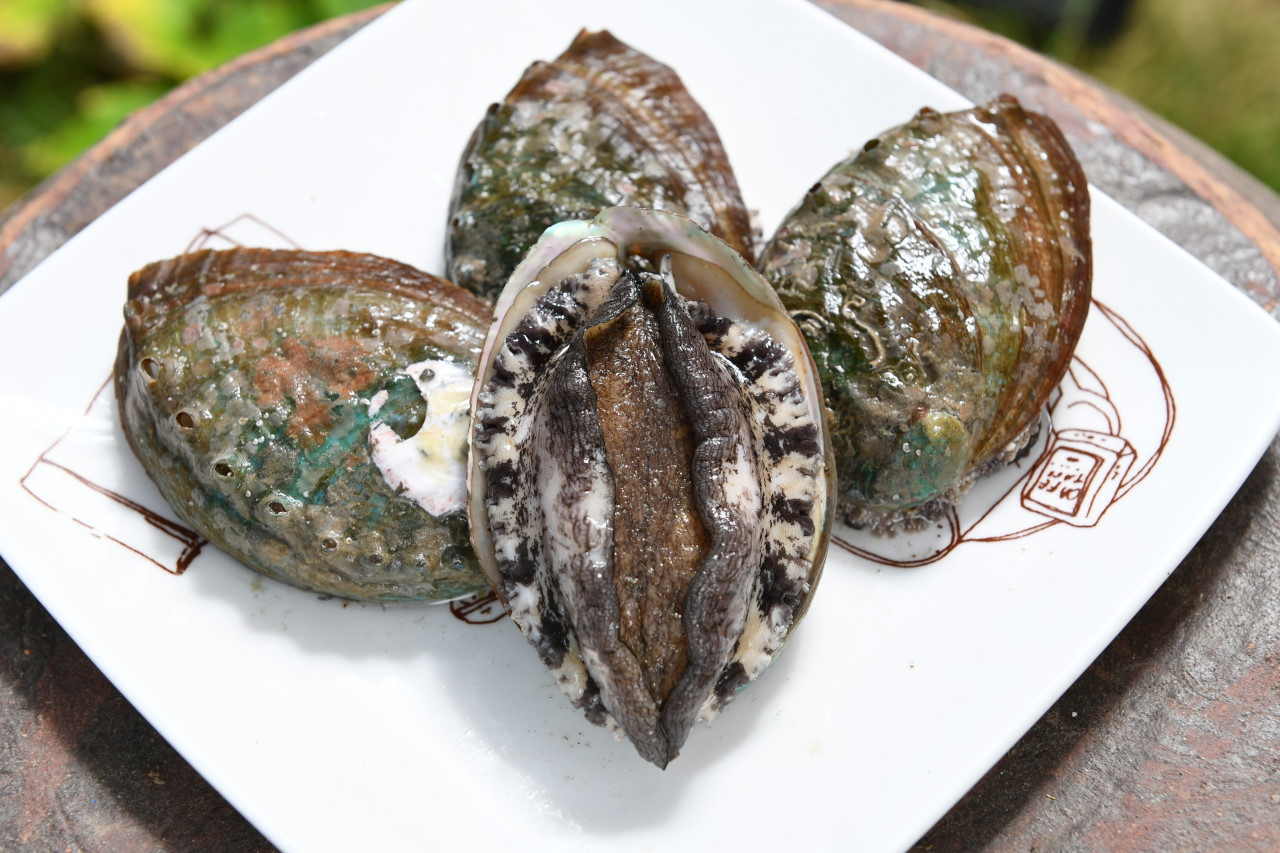 (전복선물세트) 완도12호 왕특대 1kg(6-7미)선물포장 - 상세 이미지 3