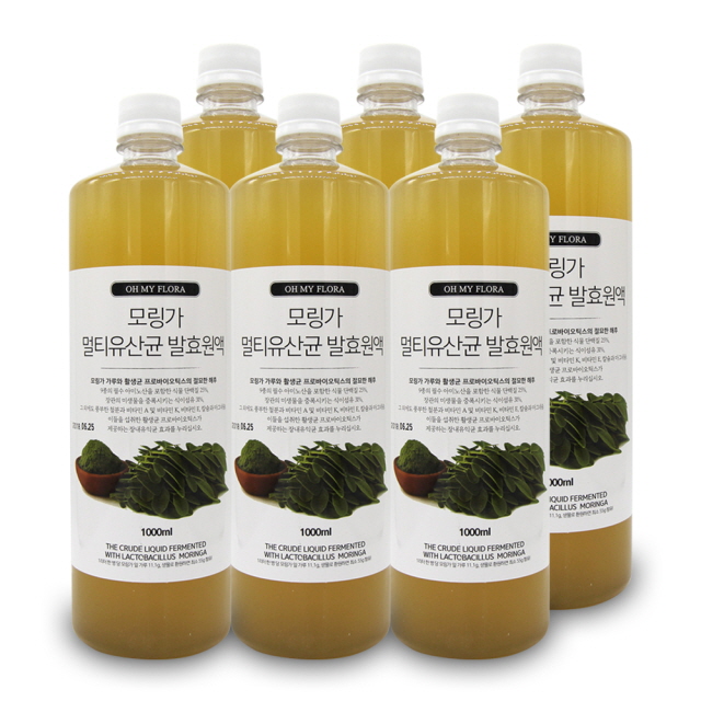 모링가 멀티 생유산균 프롤린 발효원액 비만세균 제거 신 프리 프로바이오틱스 6병 SET - 상품 이미지