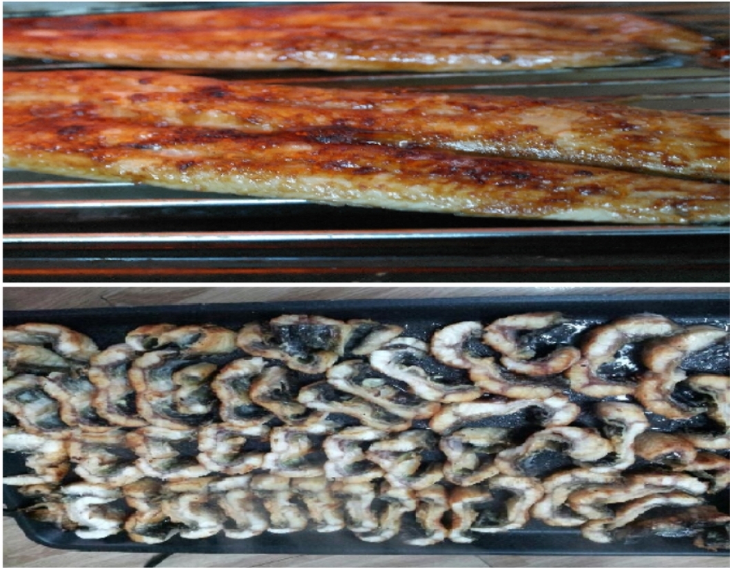 민물장어 자포니카 500-1kg 뱀장어 장어구이 장어즙 액기스 - 상세 이미지 4
