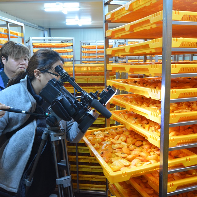 대봉 감말랭이 800g, 1kg, 가정용 실속형