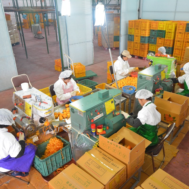 상주 곶감 선물세트 3호 건시 반건시 상세 이미지 6