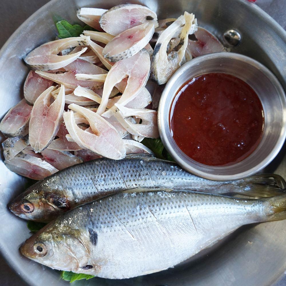 국내산 제철 활 전어 1kg(내장손질/전어회/구이용/초무침용 옵션 선택가능) - 메인 이미지
