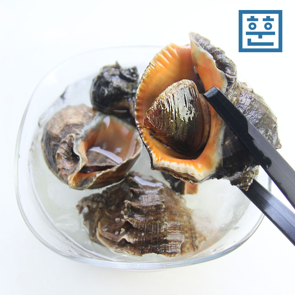 자연산 참소라 1kg 소라 - 상세 이미지 4