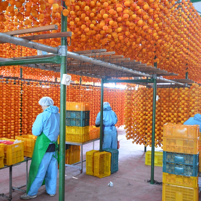 상주 곶감 선물세트 3호 건시 반건시 상세 이미지 7