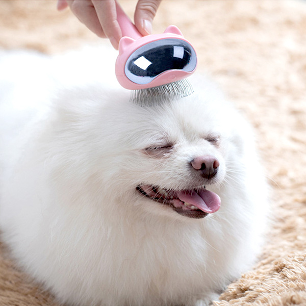 우주 고양이 PB+ 털빗 브러시 브러쉬 털갈이 빗 핀브러쉬 포메라니안 푸들 비숑빗 엉킨털제거 민감피부 개빗 - 메인 이미지