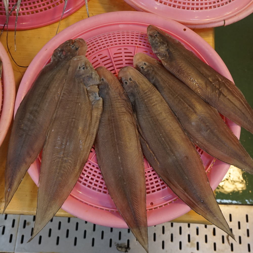 삼천포 용궁수산시장 반건조 서대(박대) 3미 - 상세 이미지 2