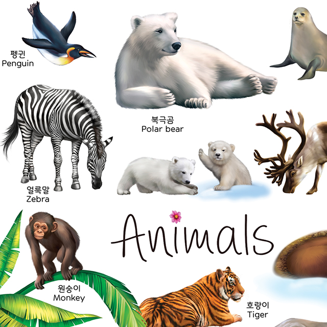 아기포스터 유아 벽보 동물 시리즈1 A3 소형 벽그림 공부 학습 방수포스터 - 상세 이미지 5
