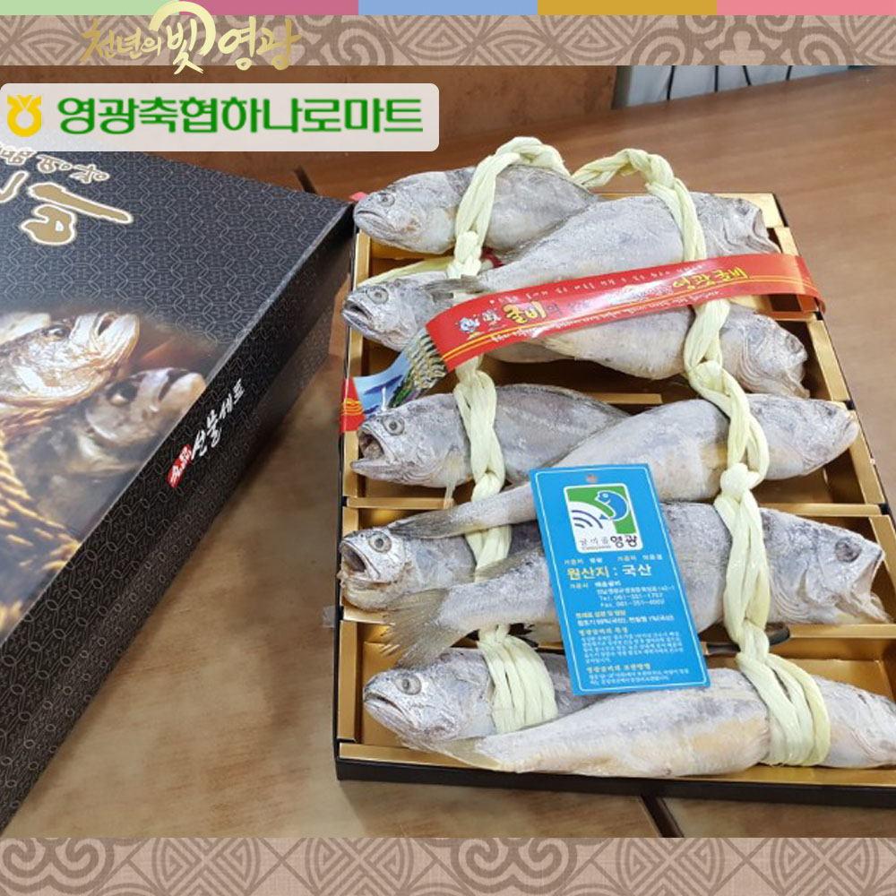 [영광축협]영광 법성포 굴비 고급형 1.3kg 1.4kg 1.5kg (10미) - 상품 이미지