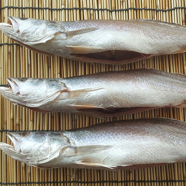 반건조 민어조기 뾰조기 서대 박대 민어굴비 침굴비 손질생선 반찬고기 제수용생선 - 상세 이미지 5