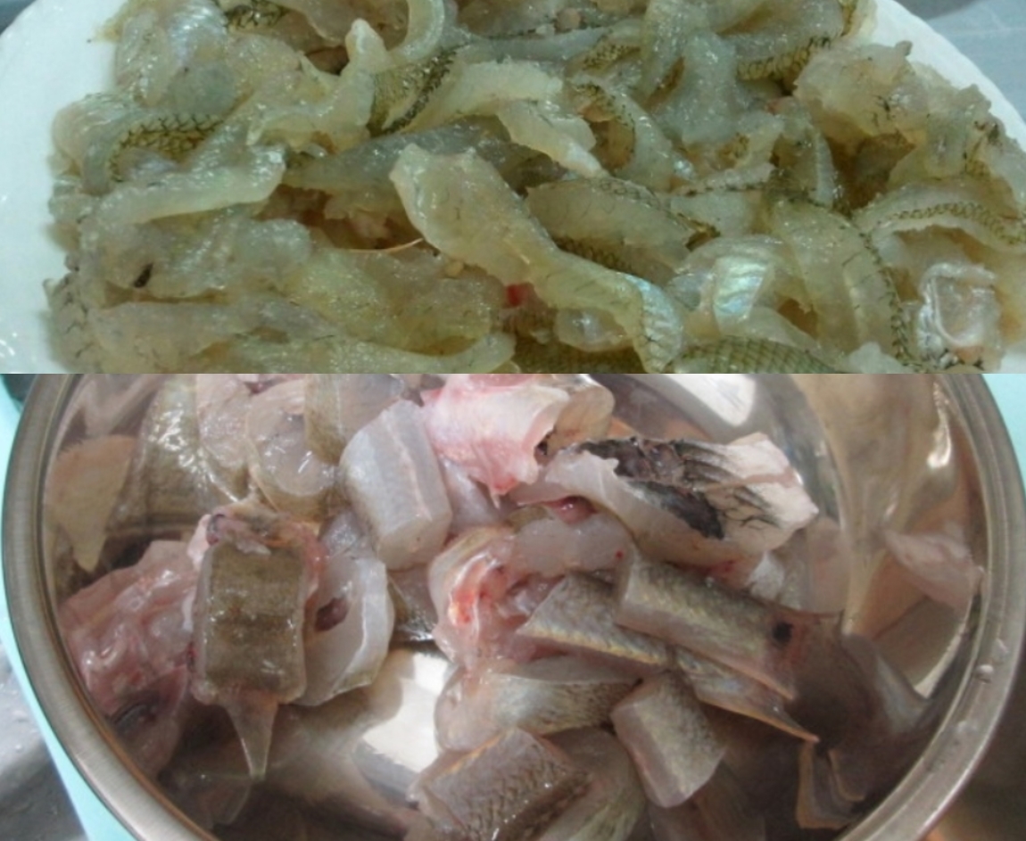 망둥이 망둥어 1kg 문절이 운저리 망둑어 망둥이회 망둥어구이 미끼용 - 상세 이미지 2