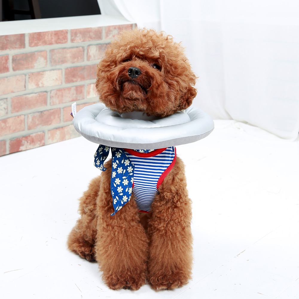 더플래 [리퍼브]강아지 고양이 도넛 넥카라 깔대기 목보호대 - 상세 이미지 3