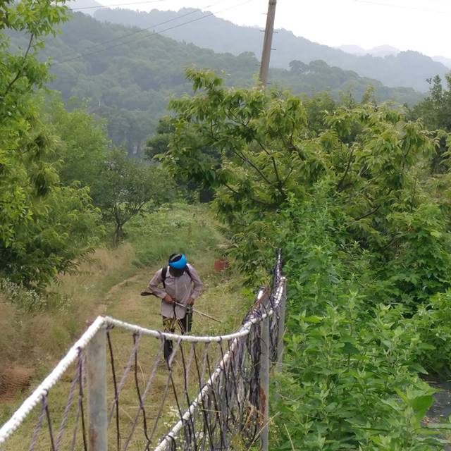 웃골농원 국산 친환경 안산참깨 참깨1kg 이미지 8