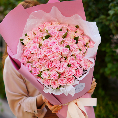 핑크 장미100송이 50송이 대형 꽃다발 대왕 자이언트 당일 배달