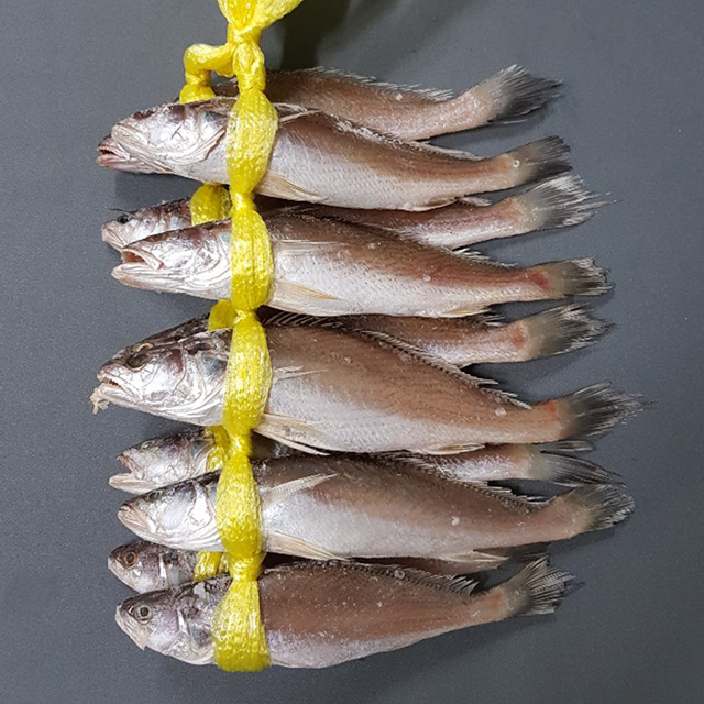 반건조생선 민어조기 침조기 손질 제수용 노르웨이고등어 굴비 무뼈고등어 이미지 7