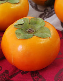달콤 아삭한 창원 단감 10KG
