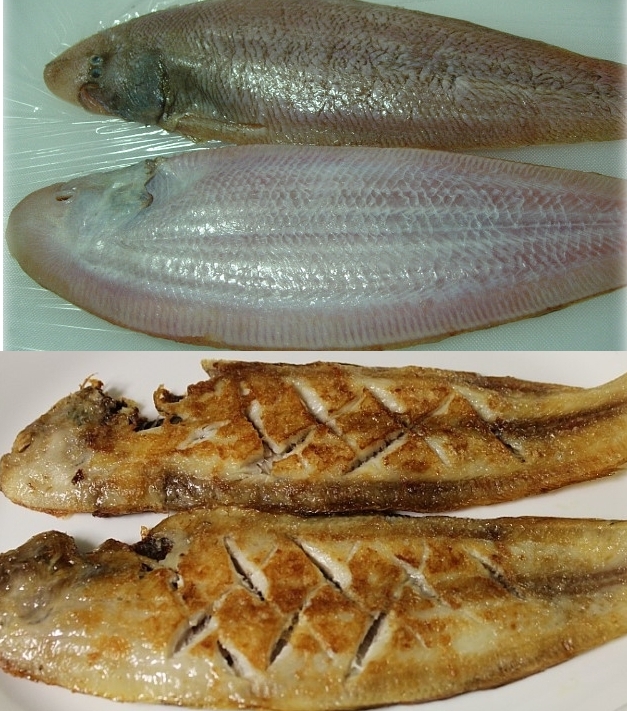 반건조 박대1마리 건조생선 목포서대 군산박대 (3마리이상 구매상품) - 상세 이미지 3
