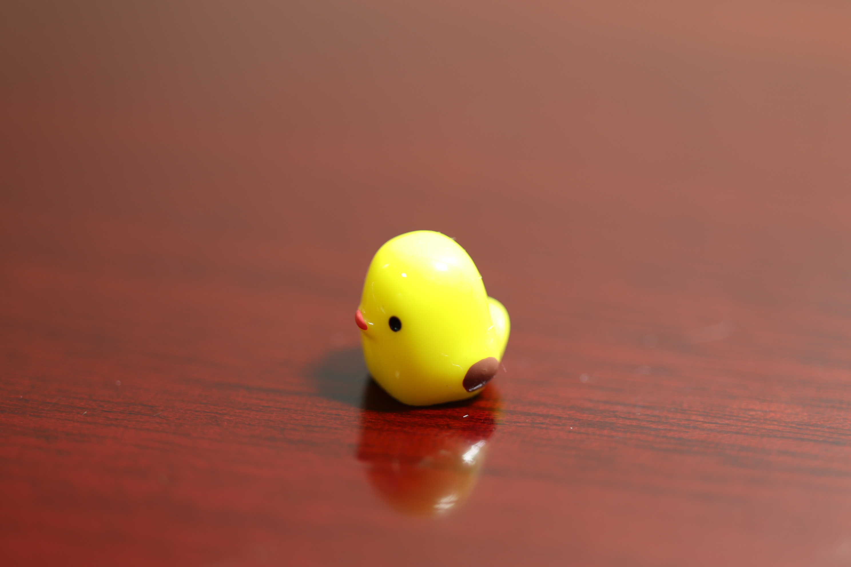 병아리  테라리움 재료 미니어쳐 미니어처