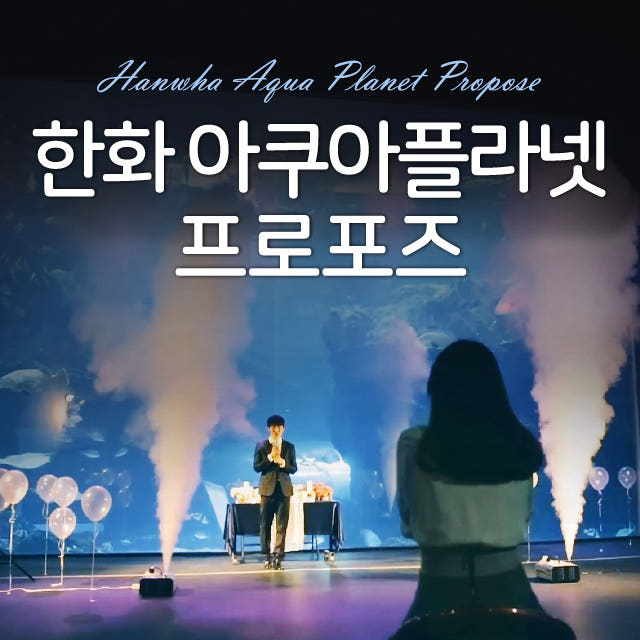 러브헌터 아쿠아플라넷 프로포즈 서프라이즈 스토리