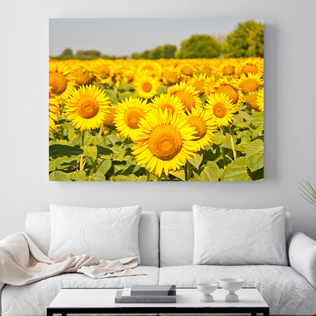 해바라기 No52 풍수지리에 좋은 해바라기 그림 캔버스 액자 3호