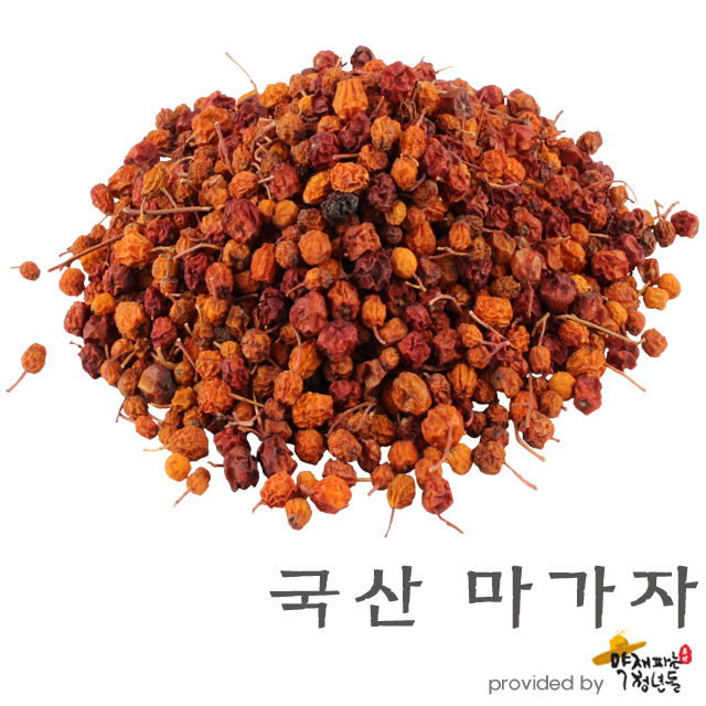 국산 마가목열매 말린 마가자 마가목차 300g - 상품 이미지