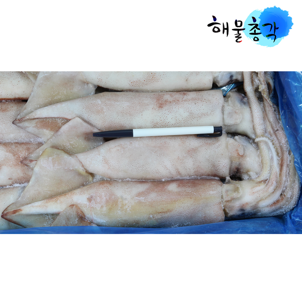 해물총각 오징어 냉동오징어 1박스 - 상세 이미지 3