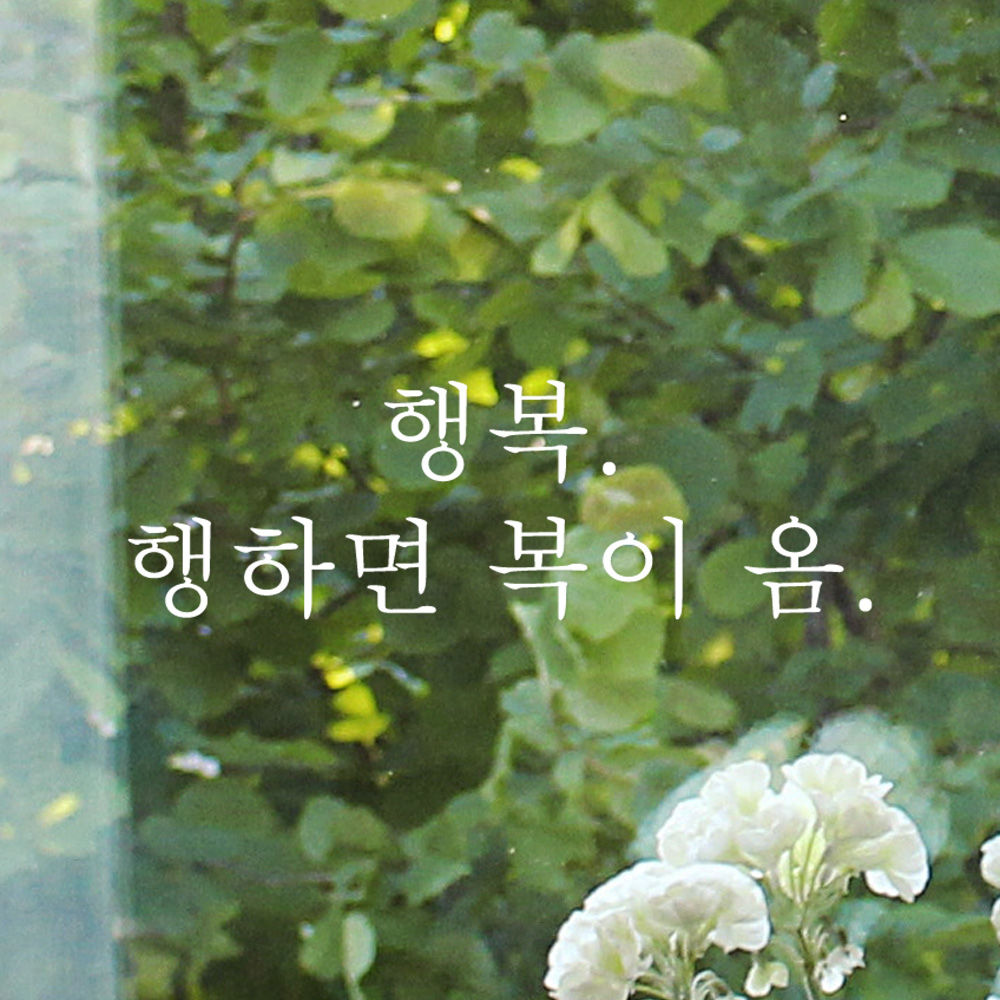 레터링 유리창 스티커 행복 행하면 복이 옴 검정S - 상품 이미지