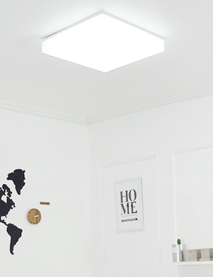LED 방등 클린 화이트 조명 60W - 상품 이미지