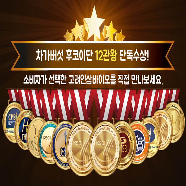 러시아차가버섯 추출분말 차가100골드 프리미엄 1Kg - 상세 이미지 4