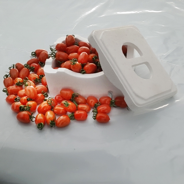 꿈꾸는 토마토네 싱싱하고 달달한 대추방울토마토 2kg 2개 사면 1kg 추가 5kg 발송 이미지 4
