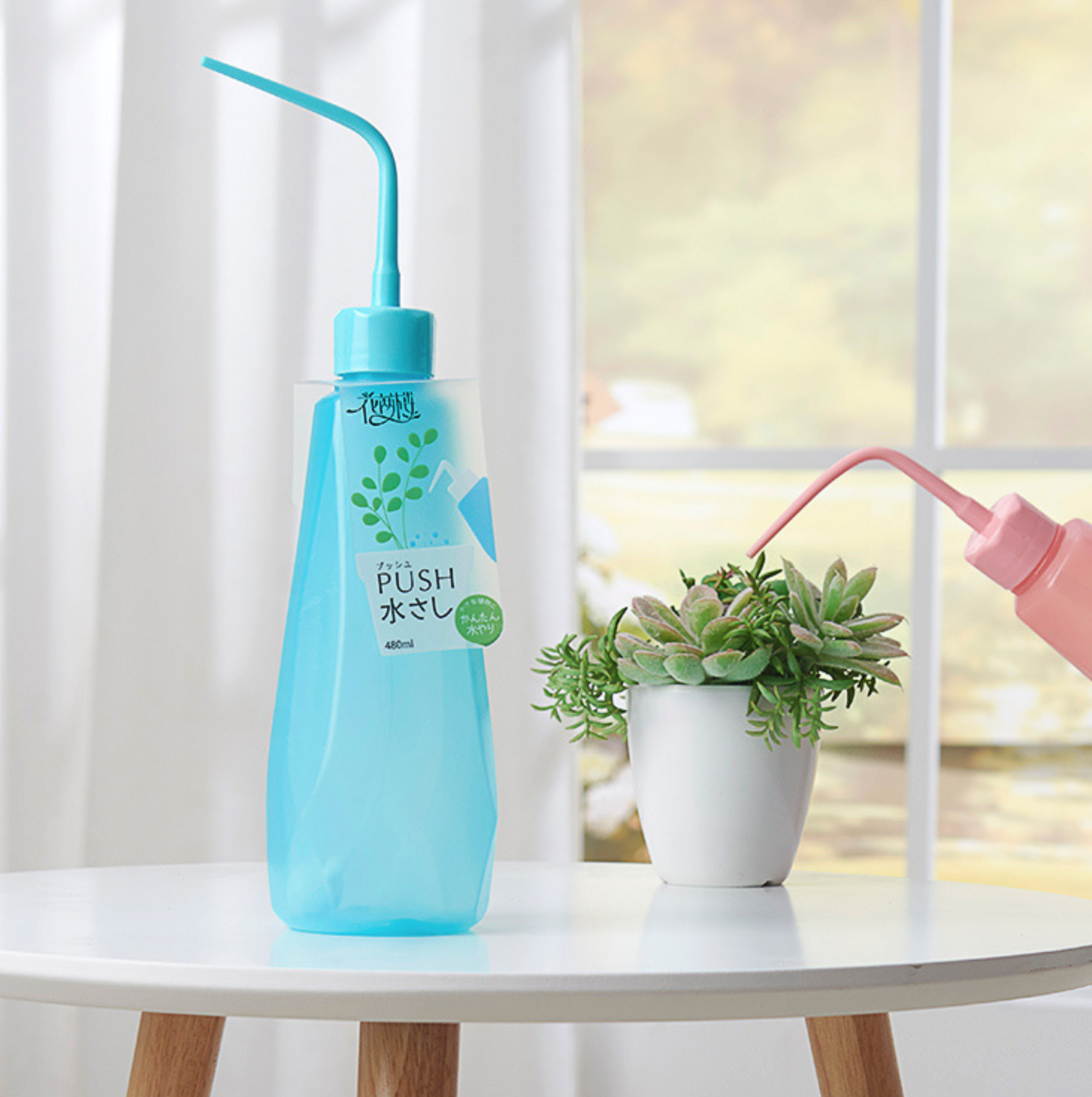 물뿌리개 작은식물 물조리개 480ml 리톱스,하월시아 - 상세 이미지 2